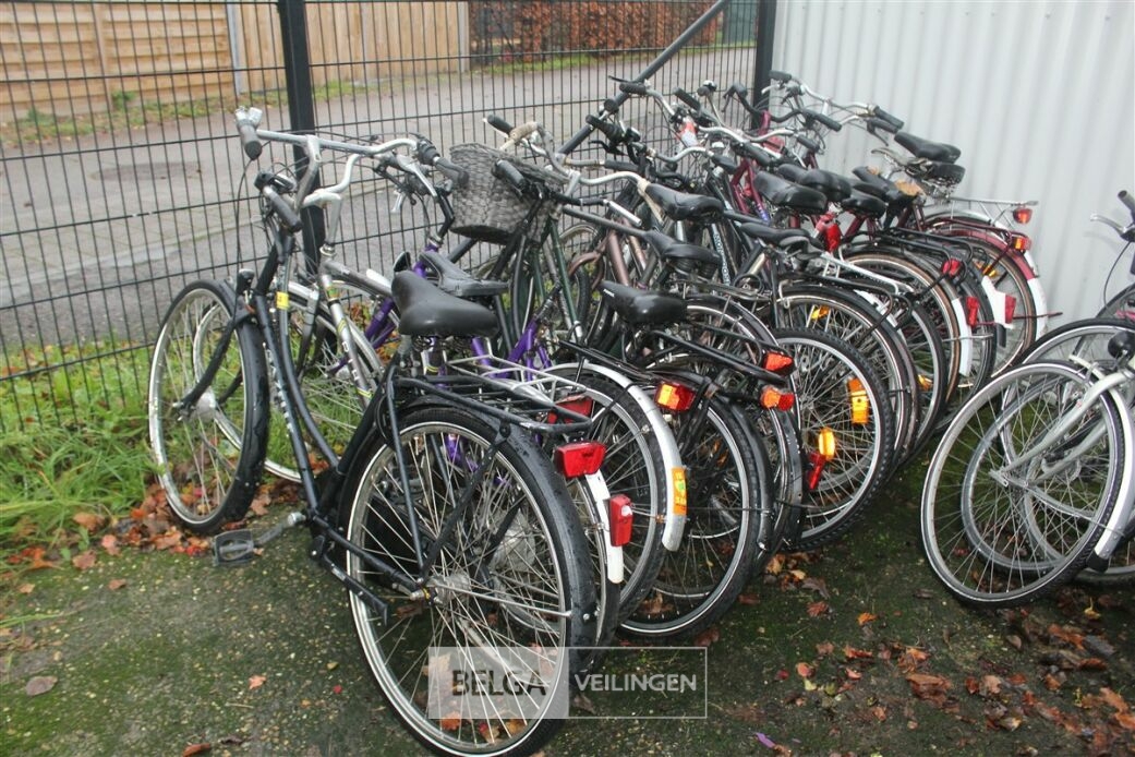 Partij Fietsen | Belga Veilingen Auctions - Enchères